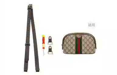 gucciOphidia