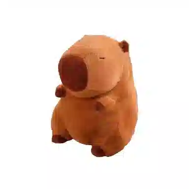 25cm35cm45cm70cm100cm