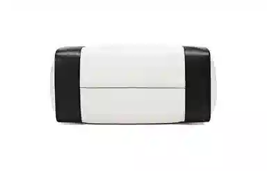 Alexander McQueen Tote