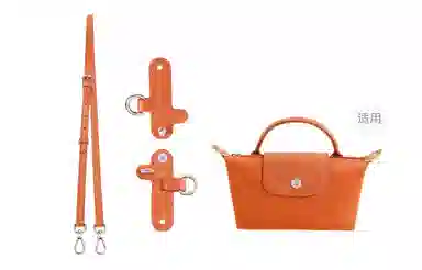 Longchamp Mini Bag Strap Set