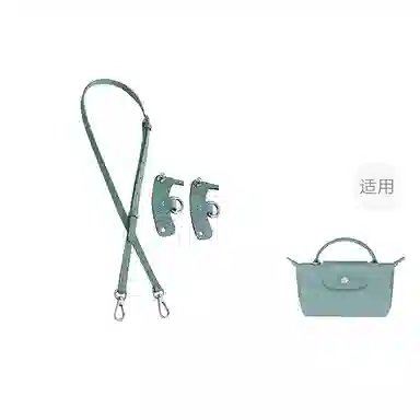 Longchamp Mini Bag