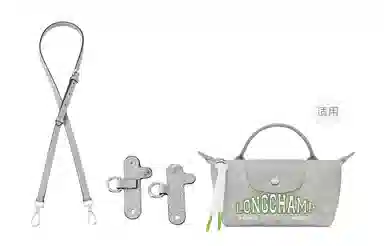 Longchamp Mini Crossbody