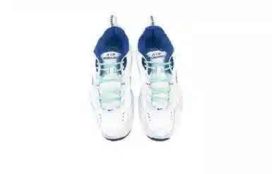 Nike Air Monarch 4