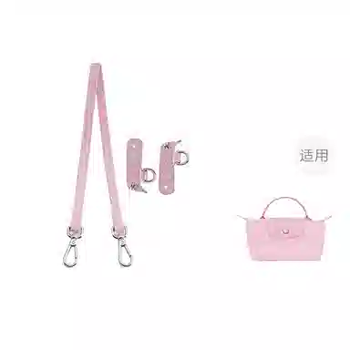 Longchamp Mini Bag