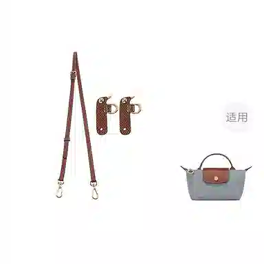 Longchamp Mini Bag