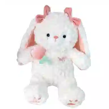 25cm