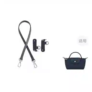 Longchamp Mini Bag