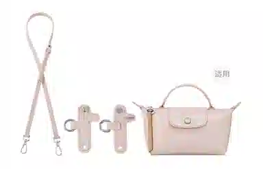 Longchamp Mini Crossbody