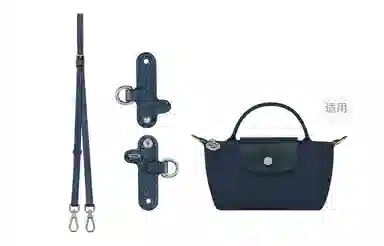 Longchamp Mini Bag Strap Set