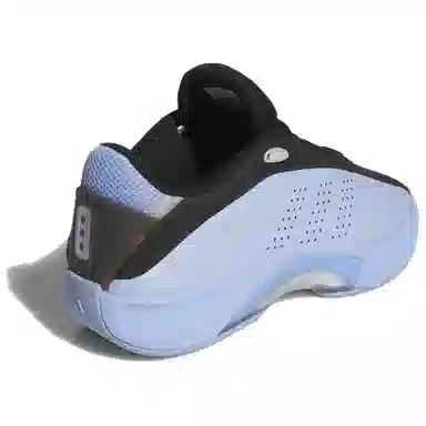 adidas originals CRAZY IIINFINITY 130