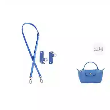 Longchamp Mini Bag
