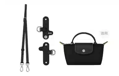 Longchamp Mini Bag Strap Set