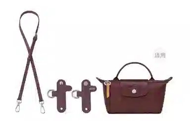 Longchamp Mini Crossbody