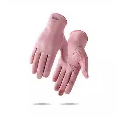 BSELEON