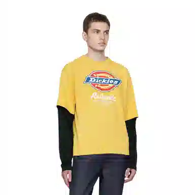 Dickies
