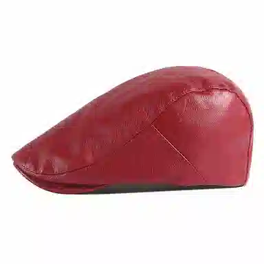 CARDANRO PU
