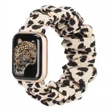 AOMN B-106 appleiwatchS8765