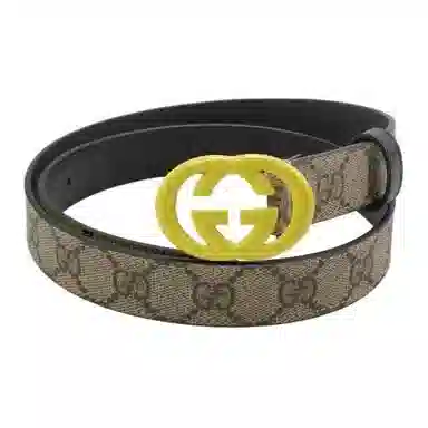 Gucci Printed Belt Brown