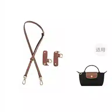 Longchamp Mini Bag