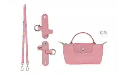 Longchamp Mini Bag Strap Set