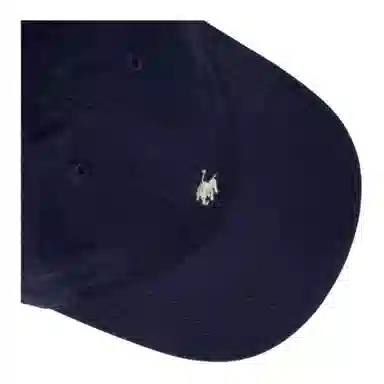 Polo Ralph Lauren Kids Cap Blue