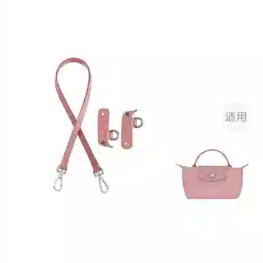 Longchamp Mini Bag