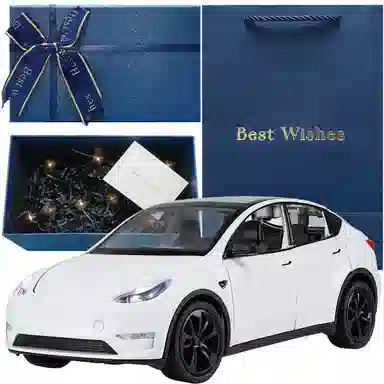 TY MODELS Model Y 124