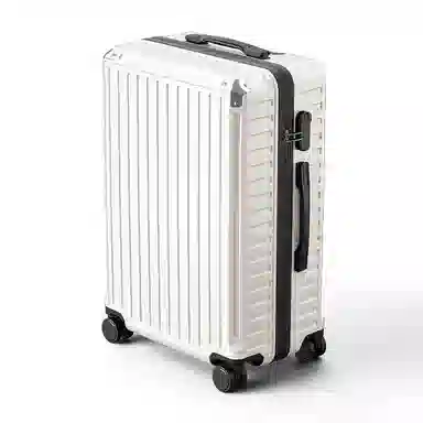 FAIRWHALE ABS+PC 2024262229