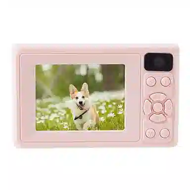 HEY CAT'S DAILY Z02 CCD4K vlog AF