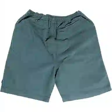 Stussy SS22 Brushed Beach Short