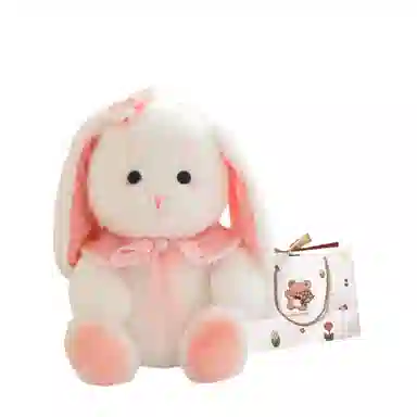 OU DI PIG 30cm40cm50cm