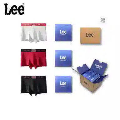 Lee 3