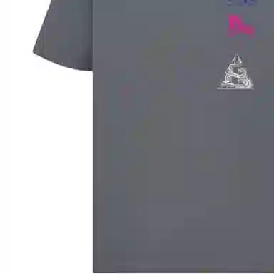 DIOR T