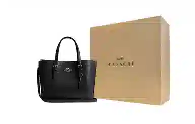 Coach Mollie Tote 25