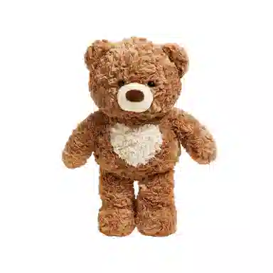 The Green Party 25cm36cm