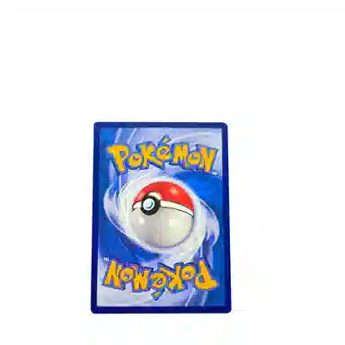 POKEMON PTCG RRRvmax 069132