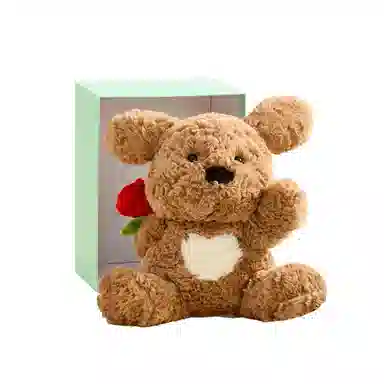 The Green Party 25cm36cm