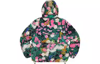 Supreme x The North Face