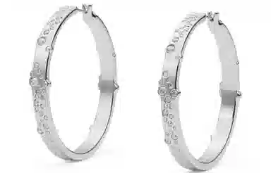 CHARLES&KEITH Crystal Earrings Silver