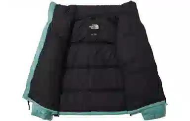 The North Face 1996 Logo Embroidered Mint