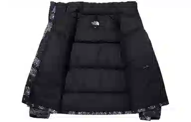 The North Face 1996 Noobsy