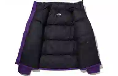 The North Face Eco Nuptse Jacket Purple