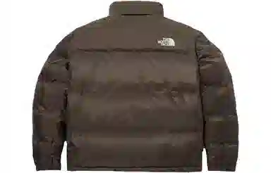 The North Face 1996 Dryvent Down Jacket