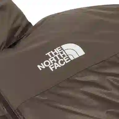 The North Face 1996 Dryvent Down Jacket