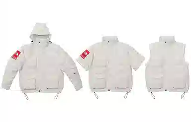 Supreme x The North Face