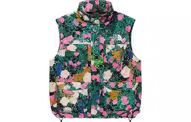 Supreme x The North Face