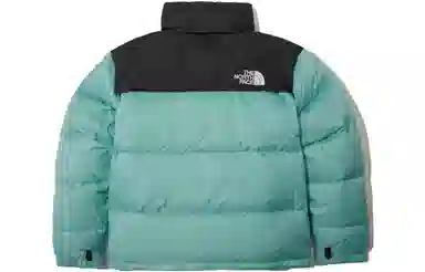 The North Face 1996 Logo Embroidered Mint