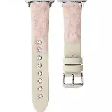 AOMN B-132 applewatchiwatch1098765