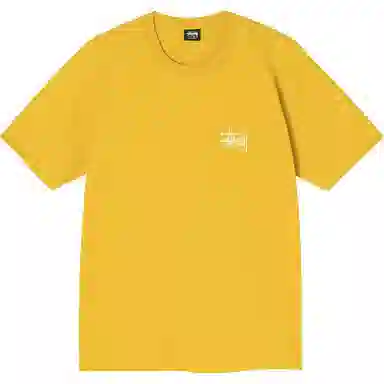 Stussy SS21 T