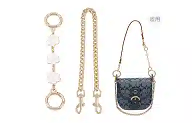 GUYI COACH Chambray Kleo17